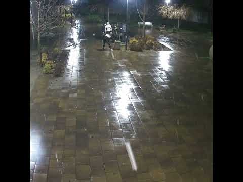 У сквері на Лятошинського група підлітків «розважилася» так, що постраждало майно громади