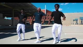 AZ DANGER BOYS (Official Afro Dance)