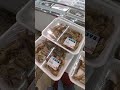 在包装袋里活虾 live shrimps in plastic packages