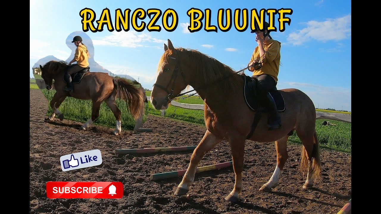 ZACZYNAM PRACE Z ZYGFRYDEM, PRZEŻYŁAM? + UNBOXING