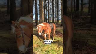 Schreibt Es In Die Kommentare