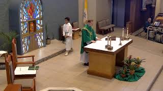 OLPH Scottsdale Livestream Mass - 8:30am Sunday, July 12th 2026