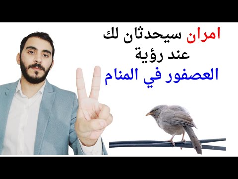 امران سيحدثان لك عند رؤية العصفور أو العصافير في المنام  تفسير حلم رؤية العصفور والعصافير في المنام