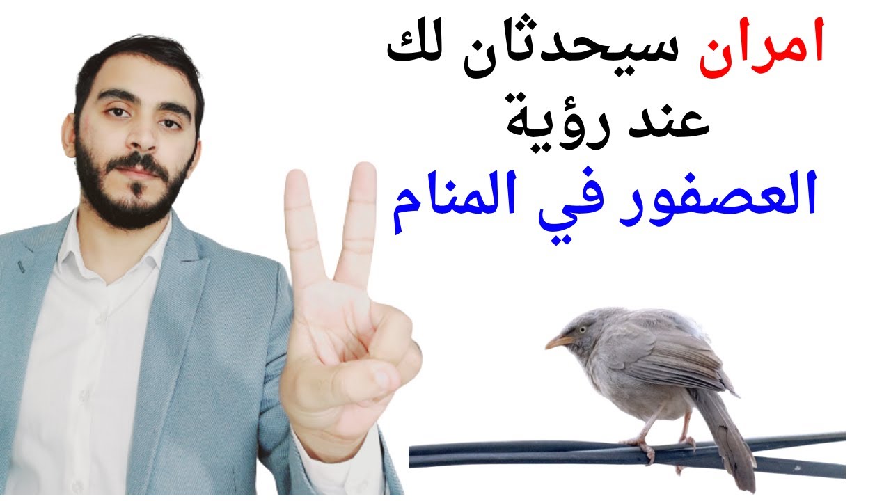 امران سيحدثان لك عند رؤية العصفور أو العصافير في المنام l تفسير حلم رؤية العصفور والعصافير في المنام