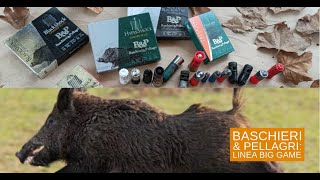 Wild boar special: Baschieri & Pellagri Big Game slug shotshells