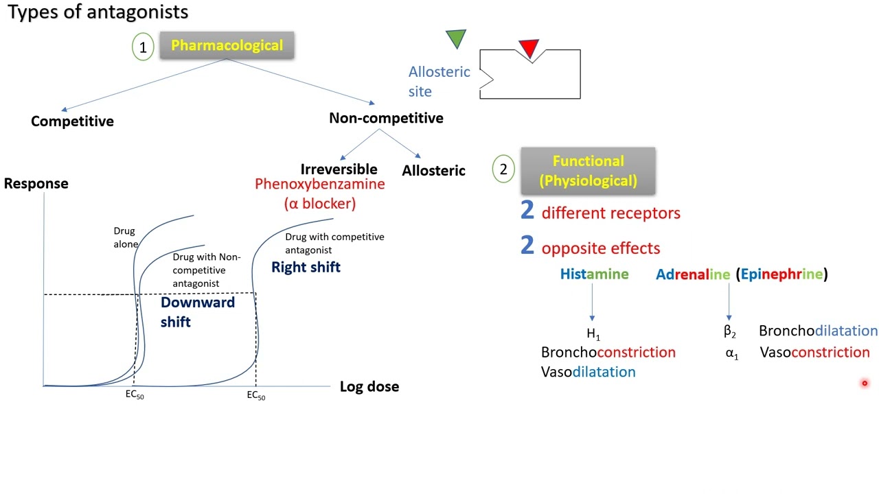 Pharmacodynamics - Functional and chemical antagonists - in Arabic - بالعربي