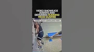 Video shows ICE agents and detainees running from gunfire
