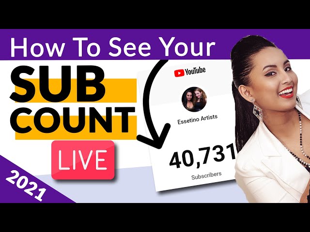 How to See Your Real-Time  Subscriber Count - TubeKarma