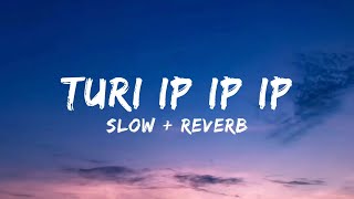 Turi ip ip ip Slowed   Reverb.. (Lyrics)