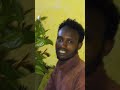 Jiimaa Harrarge Jiimaa Harrarge