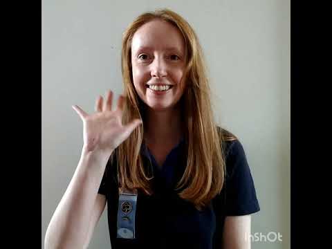 Brownie Badges Explained