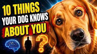 10 Shocking Things Your Dog Knows About You (Science Proved It)