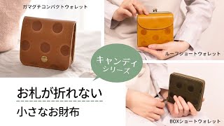 お札が折れません！コンパクト財布くらべてみました