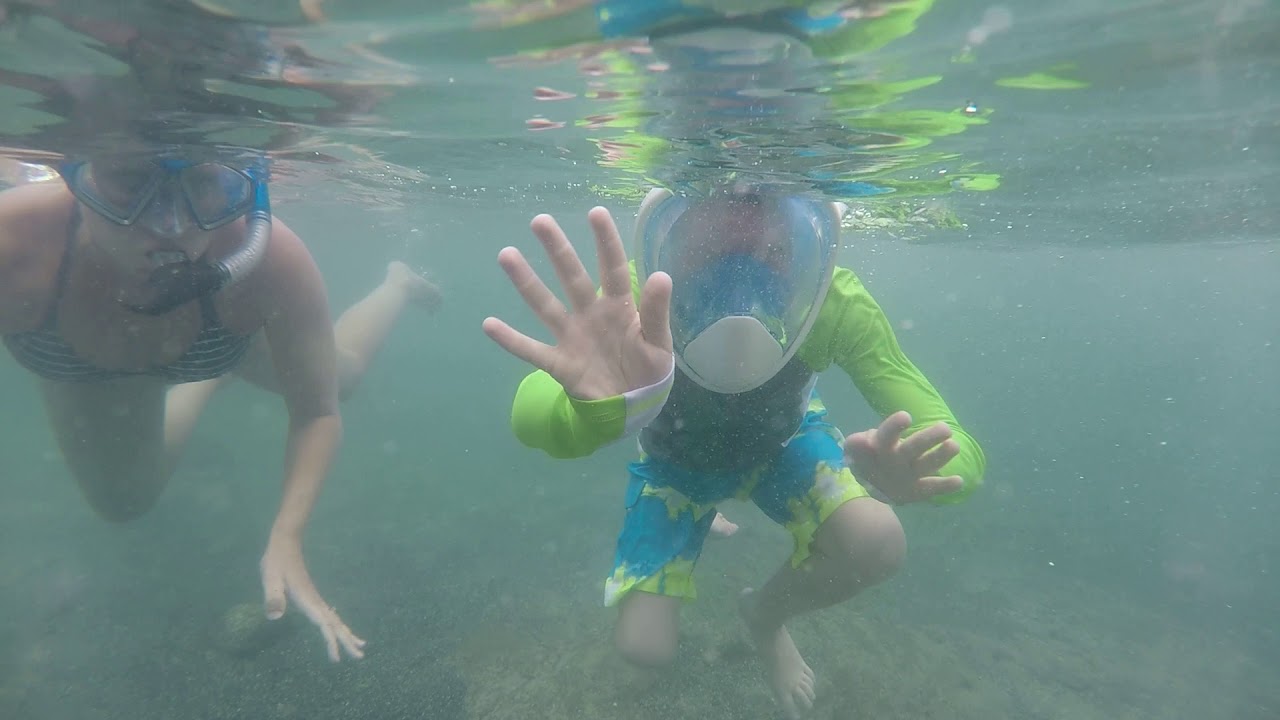 Snorkeling at Turtle Beach Kona, HI. YouTube