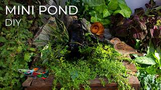 I Built a DIY Mini Pond for My Guppies