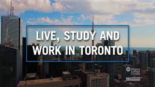 Study Business, HR, and Hospitality at Niagara College - Toronto |Discover Your Path To Success |NCT