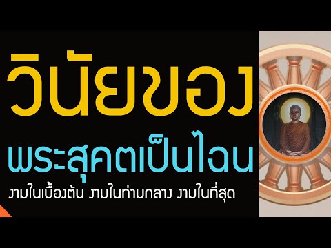 วีดีโอ: คำพูดที่บริสุทธิ์คืออะไร