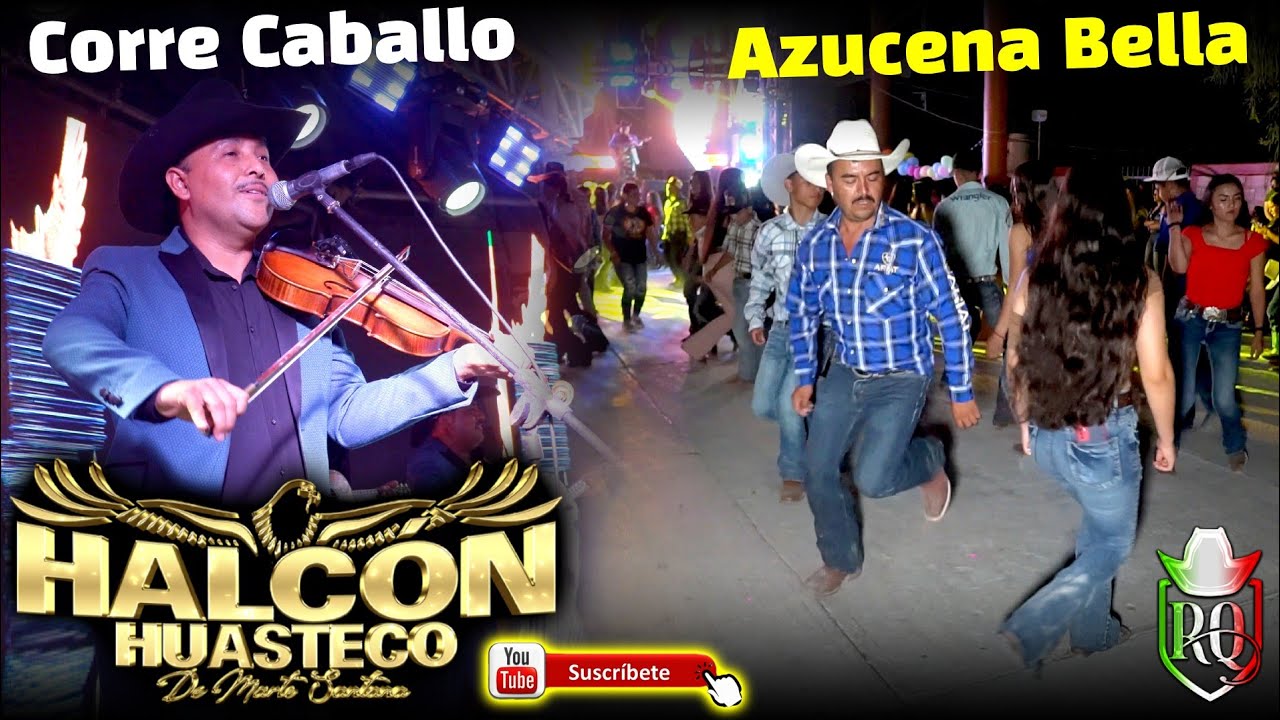 Halcon Huasteco el Corre caballo y la  Azucena bella 