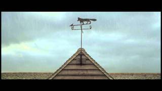 More Than Freeman - Roof