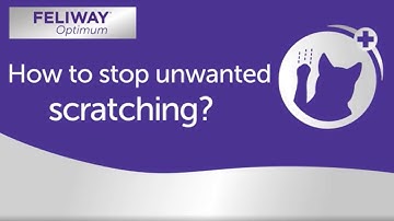 FELIWAY Optimum - How To Stop Unwanted Cat Scratching