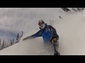 Crystal Backcountry pow through torched trees