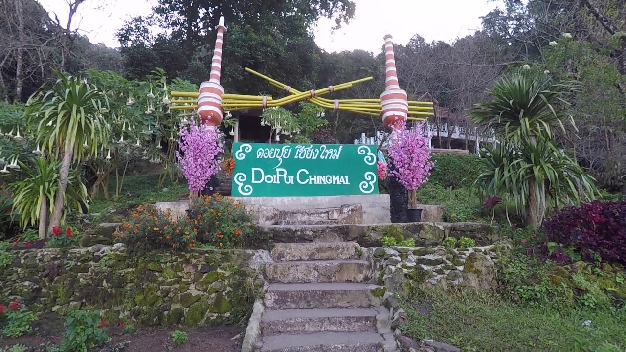 Exploring Hmong Village Market & Garden, Chiang Mai District - หมู่บ้านชาวเขาเผ่าม้งดอยปุย