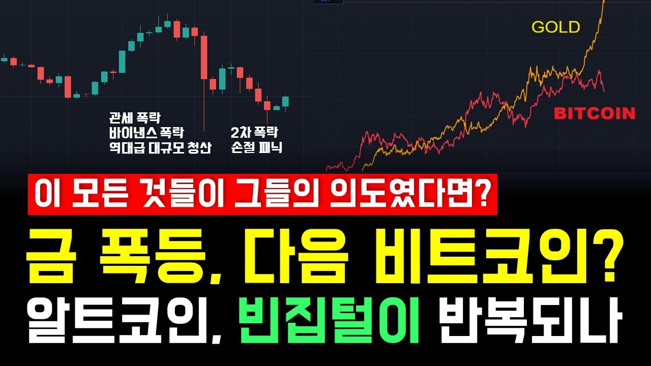 에버그린 Evergreen 유튜브 채널 분석 보고서 - NoxInfluencer