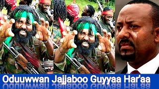 Oduu Hatattama Amma nu gahe Guyyaa Har'aa Afaan Oromoo|Gamtaa Media