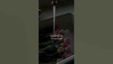 أرح سمعك وقلبك😭❤️...القارئ #عبدالرحمن_مسعد🌹..صلو على رسول الله..🥺🤍🕊