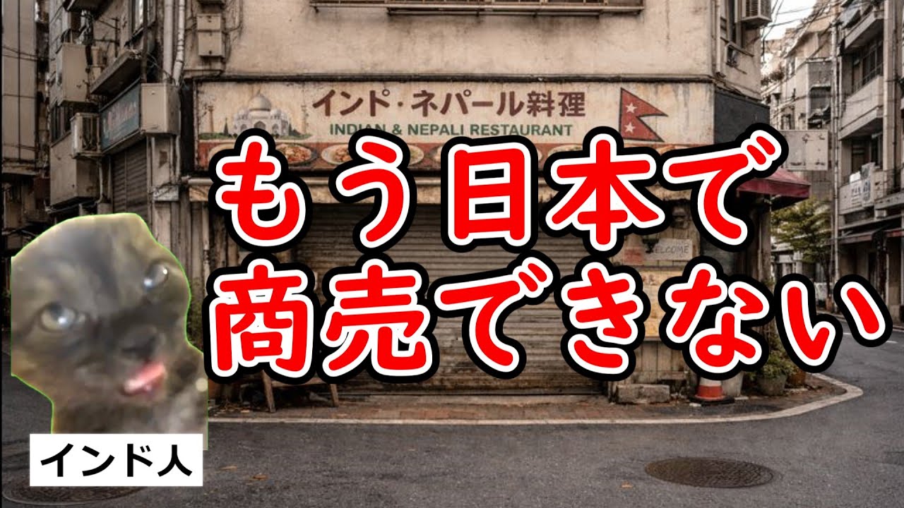 【無敵だったはずが…】インド料理屋が消えている理由【猫ミーム動画】