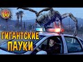 Криповая хренатень: Гигантские пауки