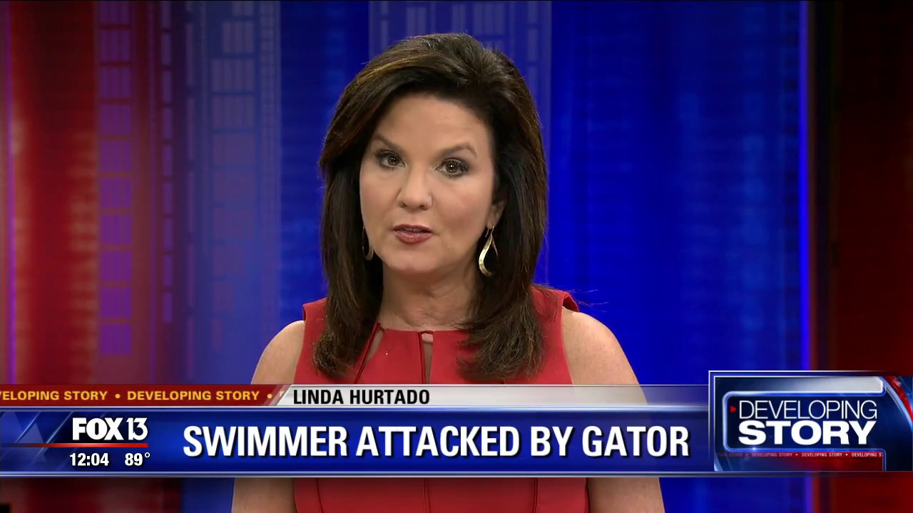 FOX 13 News at Noon - 8/23/15