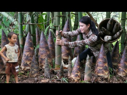 Harvesting Giant Bamboo Shoots and a Recipe for Long-Lasting Pickled Bamboo Shoots with Chili.