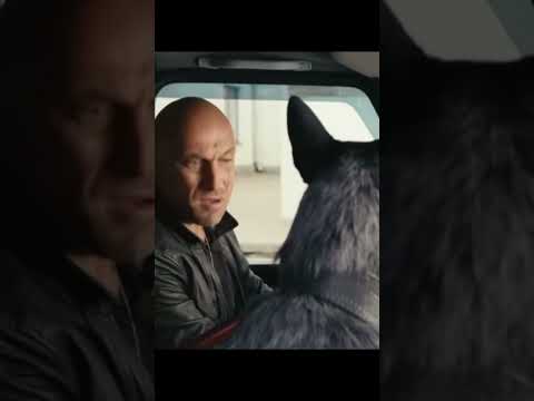 10 июня 2025 г.