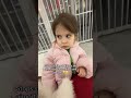 Savage Scottish Kid Stares Down Everyone at the Airport