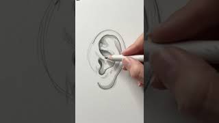 How to draw human ear ￼