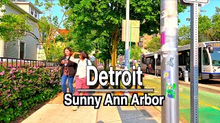 Ann Harbor 🇺🇸 Michigan Afternoon Walk |  Beautiful Michigan Walk