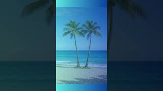 Remote Islands 🌅 - by togeday | Where the World Slows Down #remoteislands #oceania #togeday #shorts