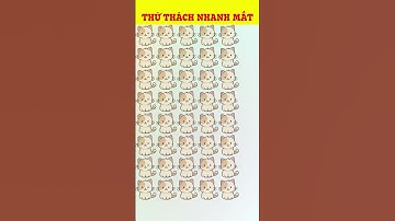 Câu Đố Thử Tài Tinh Mắt Thách Bạn Tìm Ra-Chỉ 5% Dân Số Mới Tìm Thấy Sự Khác Biệt. Đố vui tinh mắt