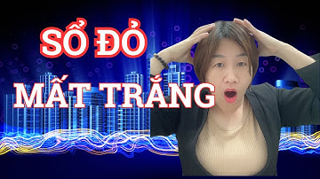 Luật Đất Đai 2024: 6 Trường Hợp Sổ Đỏ Bị Thu Hồi | Trương Năng