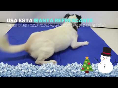 Manta Refrescante de Gel hqdefault