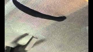 Video ESM 10