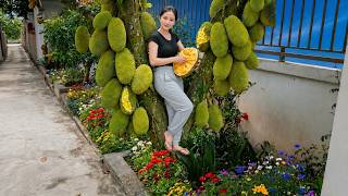 Peaceful Village Life | Fresh Egg Collection &amp; Preparing the Spring Garden