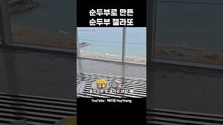 순두부 아이스크림? 강릉 가면 꼭 먹어야 할 젤라또