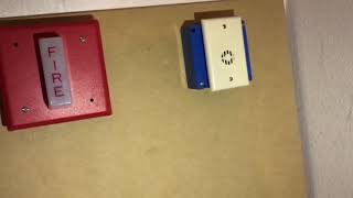 Mini Test #37
