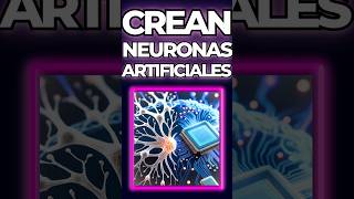 🧠✨ Los científicos acaban de crear neuronas artificiales que piensan… como las reales.