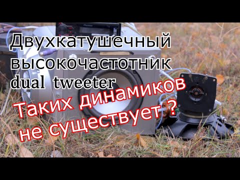 Двухкатушечный высокочастотный динамик для автомагнитолы своими руками на базе 10ГДВ