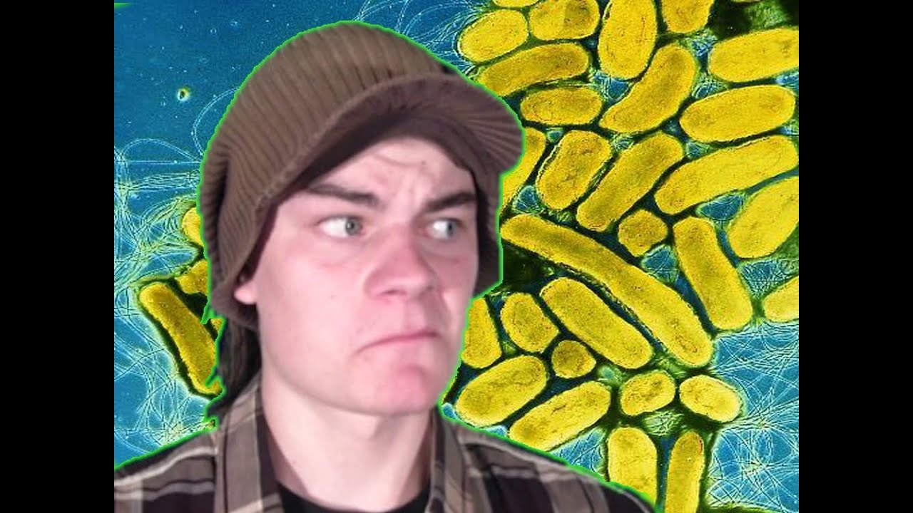 Bakterier - Jens's Forum