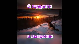 : "  "   