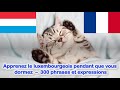 Apprenez le luxembourgeois pendant que vous dormez  300 phrases et expressions tous les niveaux